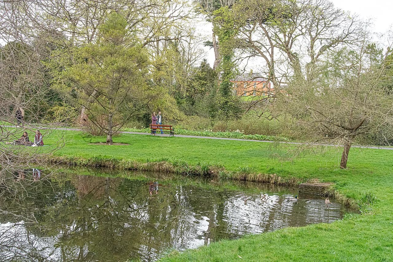 Botanical Gardens in Ireland: National Collections and How to Visit