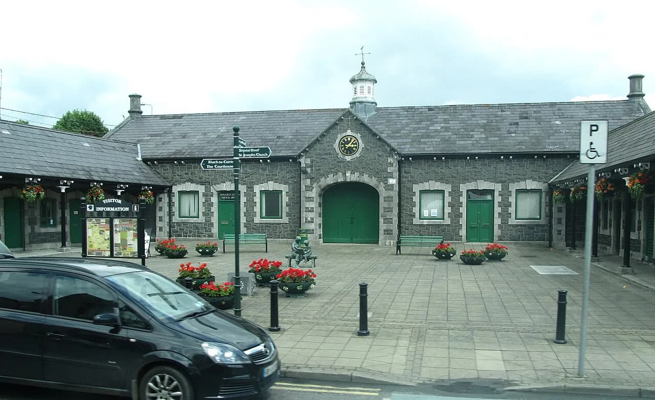 Carrickmacross Lace: The Craft and Its Gallery