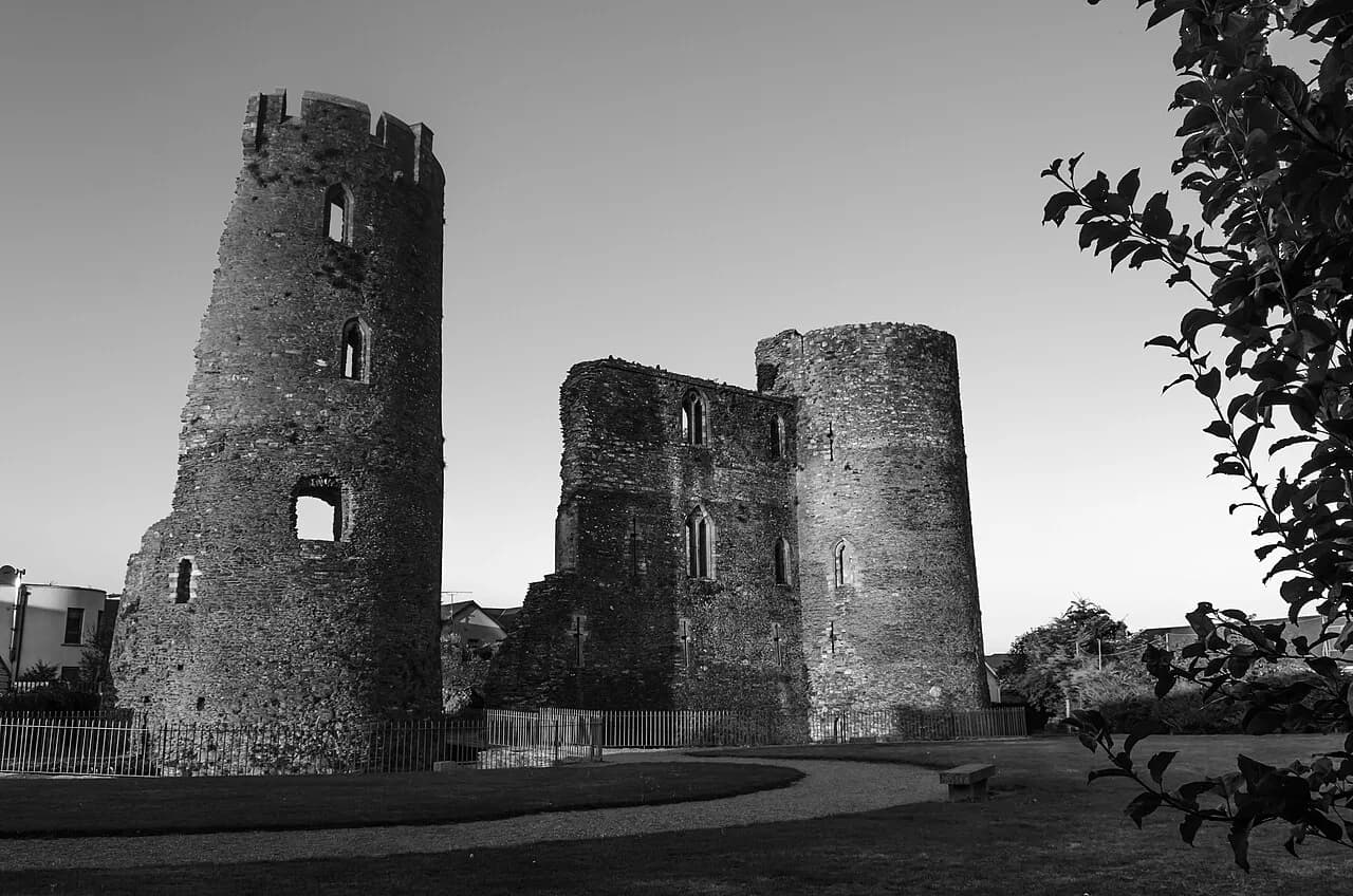 Castles in Wexford: Ferns and Sigginstown Compared