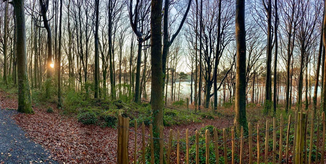 Coole Park: Literary Heritage and Trails in County Galway