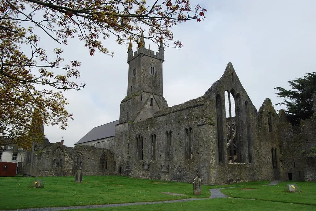 Ennis Friary: A Visitor Guide to the Franciscan Friary and Its Carvings