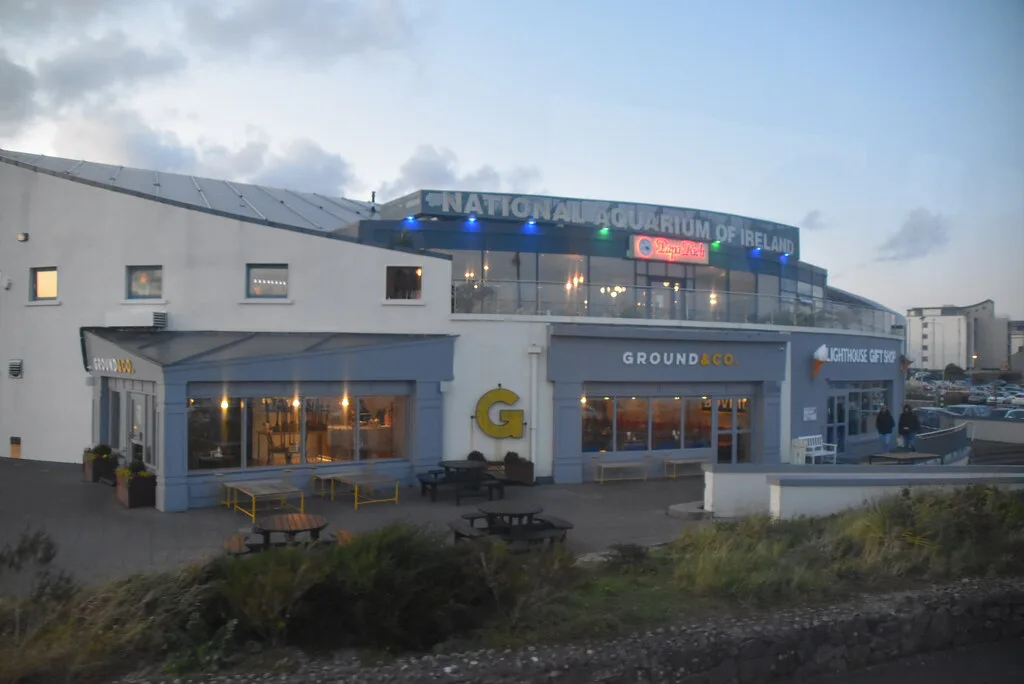 Galway Atlantaquaria: A Visitor Guide to Salthill's Aquarium