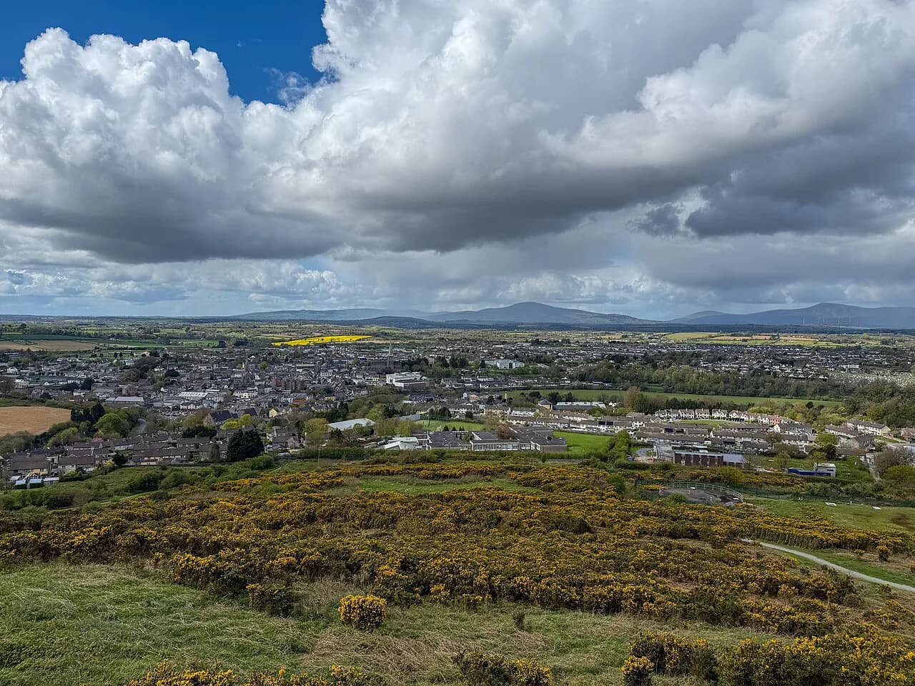 The 1798 Irish Rebellion: Enniscorthy and Vinegar Hill Guide