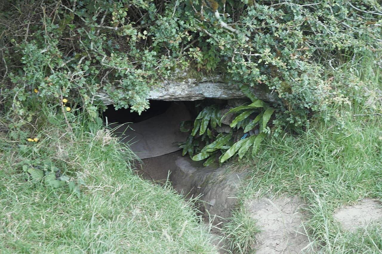 Iron Age Ireland: Bog Roads, Bog Bodies and Hilltop Sites