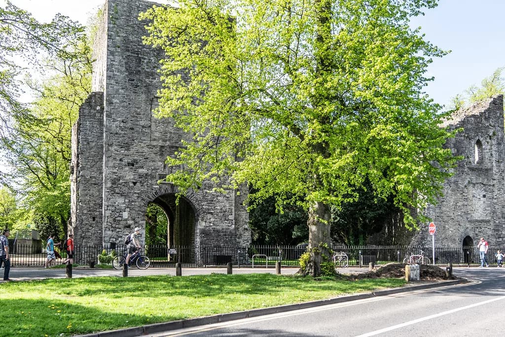 Maynooth Castle: A FitzGerald Stronghold in Kildare