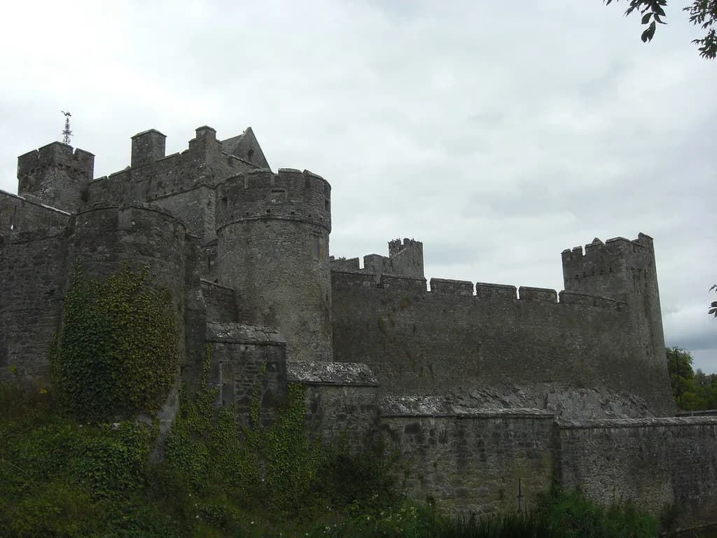 Medieval Ireland: How to Read Its Kings, Towns and Castles