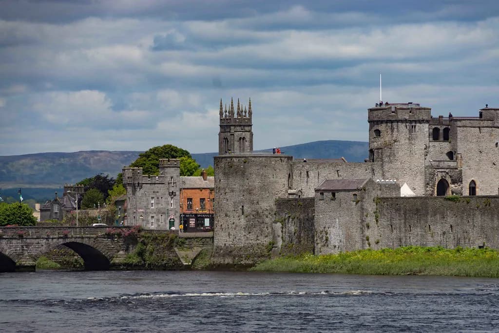 Vikings in Ireland: Towns, Kings and the Clontarf Legacy