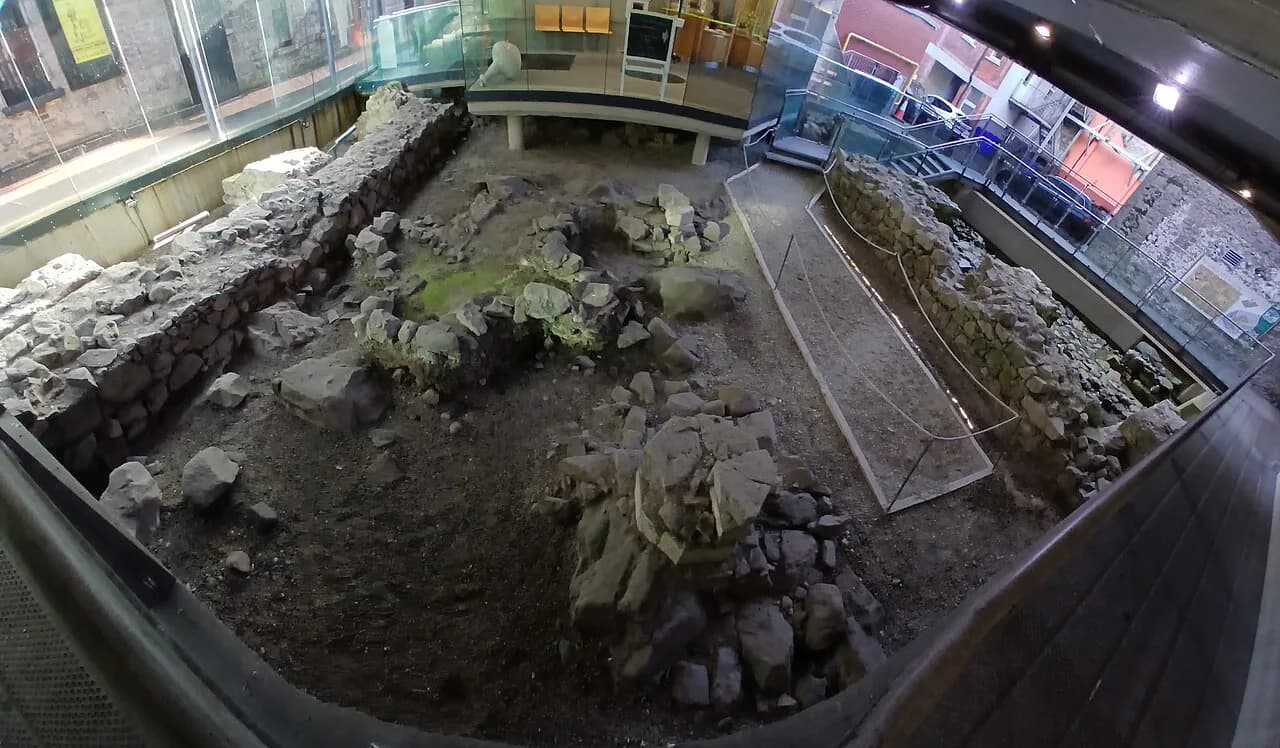 Hall of the Red Earl, Galway: Medieval Site on Druid Lane