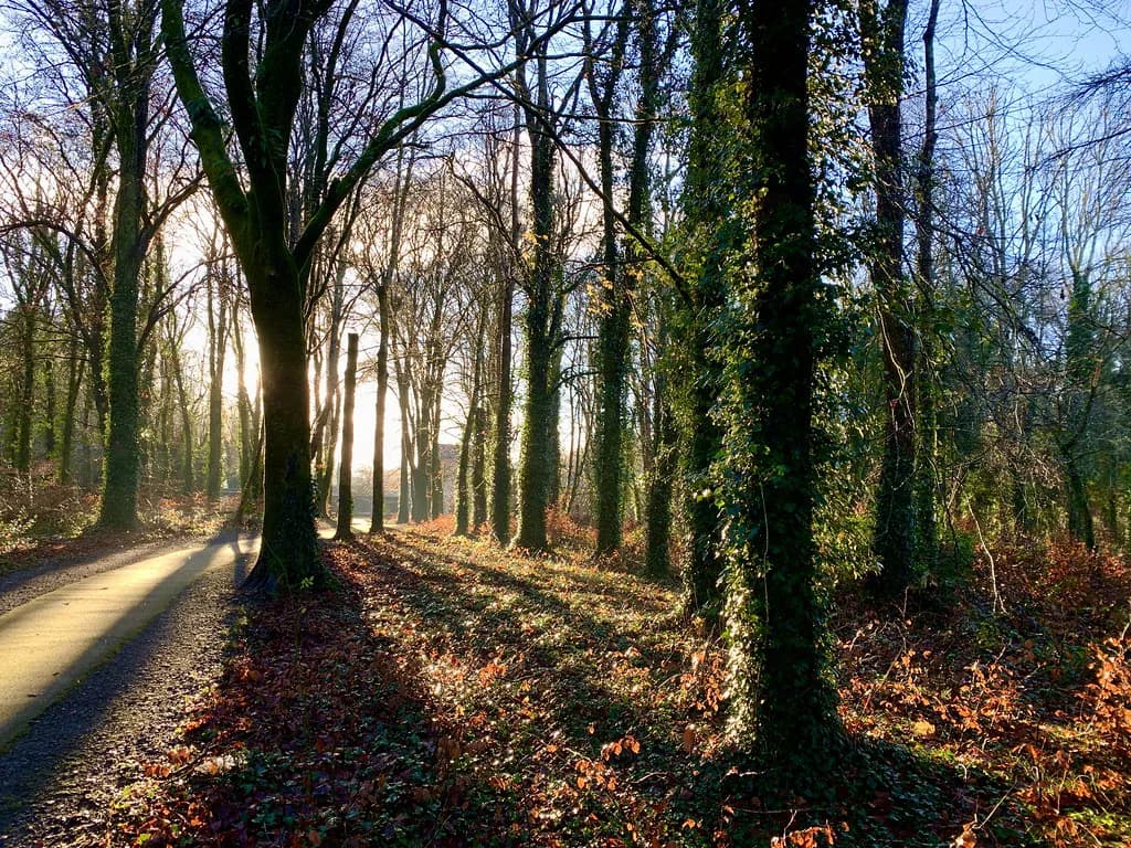 Lady Gregory in Ireland: Coole Park and the Abbey Theatre