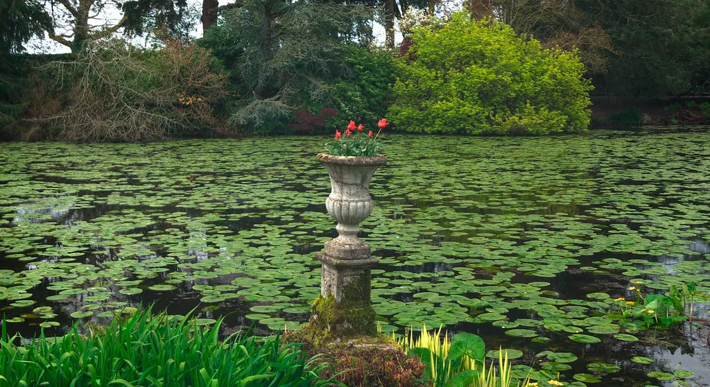 Pond in Altamont Gardens, County Carlow.