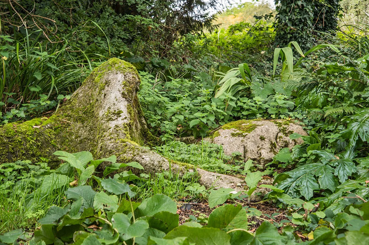 Woodland in the gardens of Belvedere House, Mullingar.