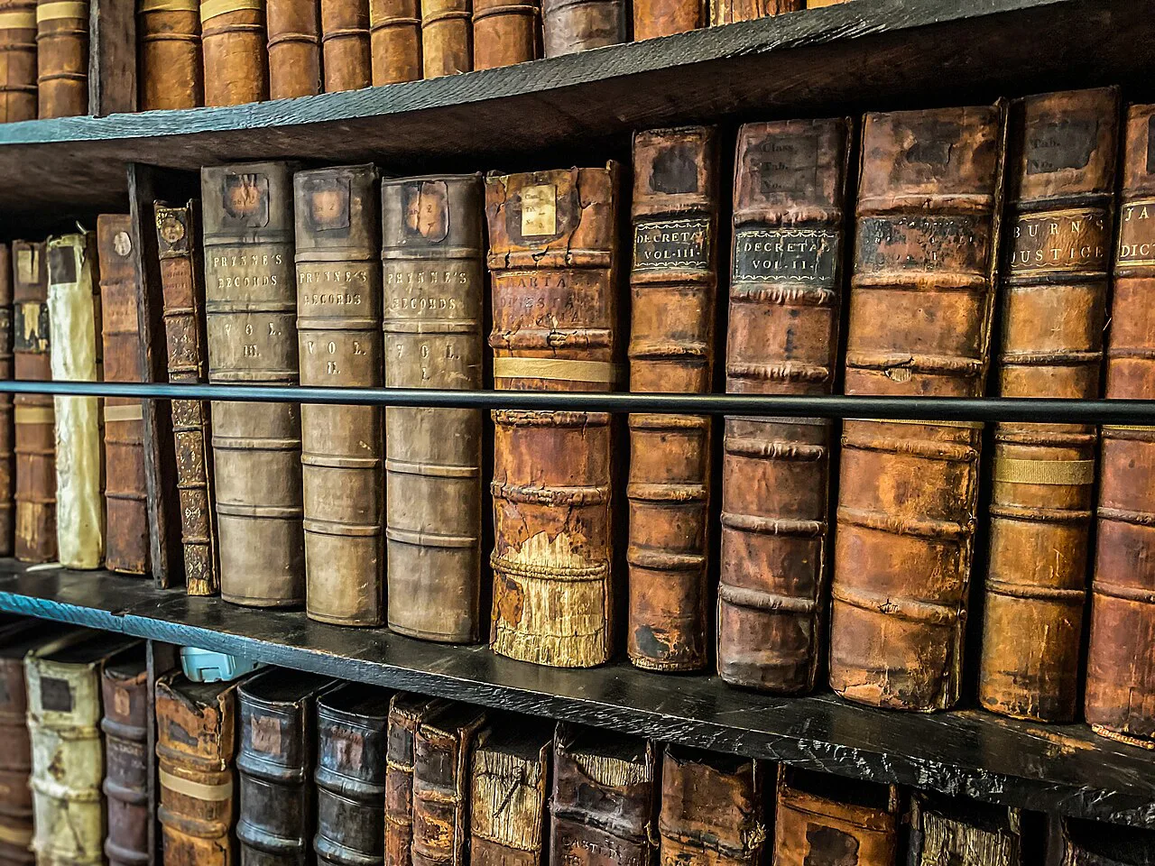 Shelves in Marsh's Library, Dublin.