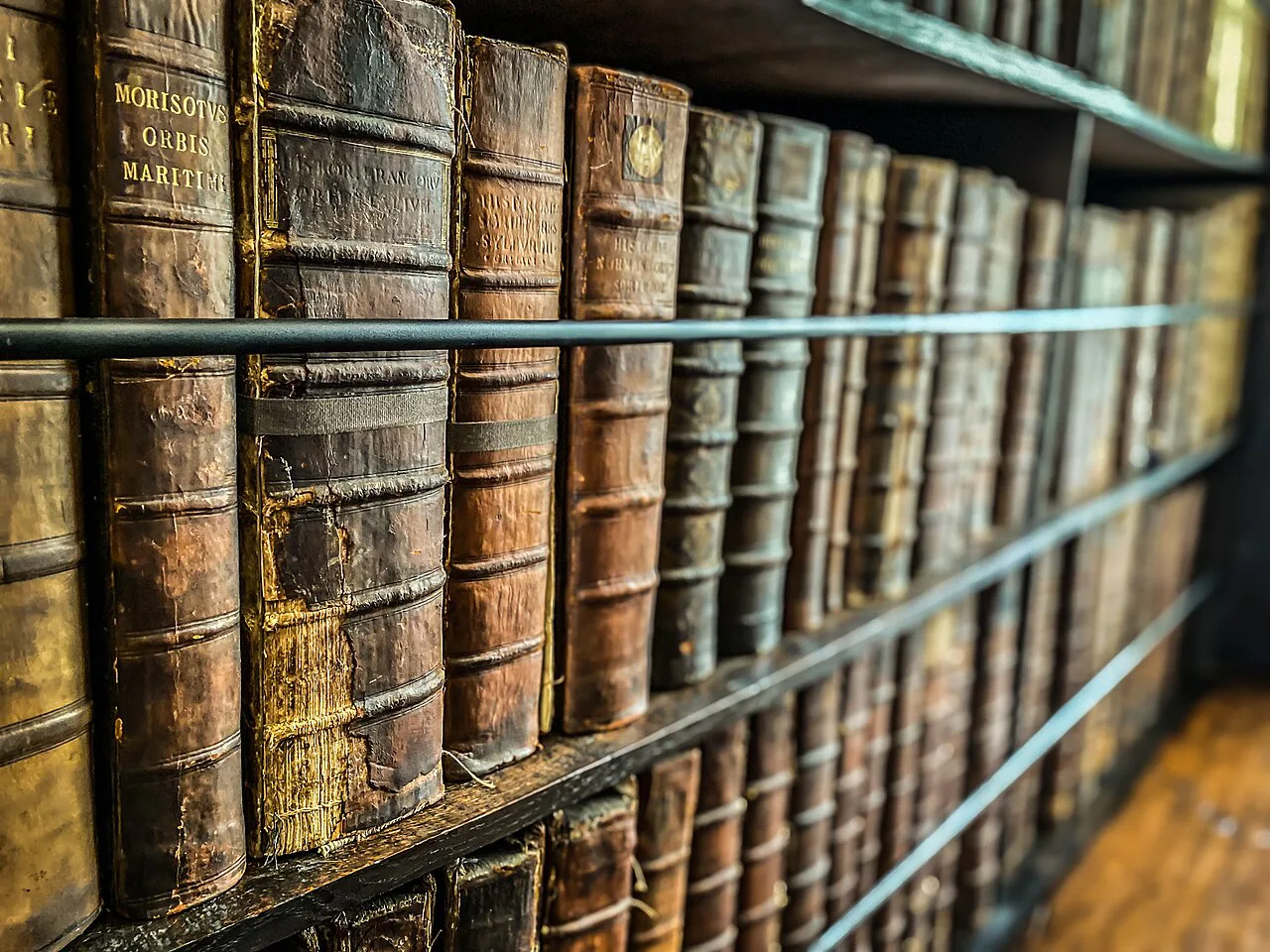 Old books in Marsh's Library, Dublin.