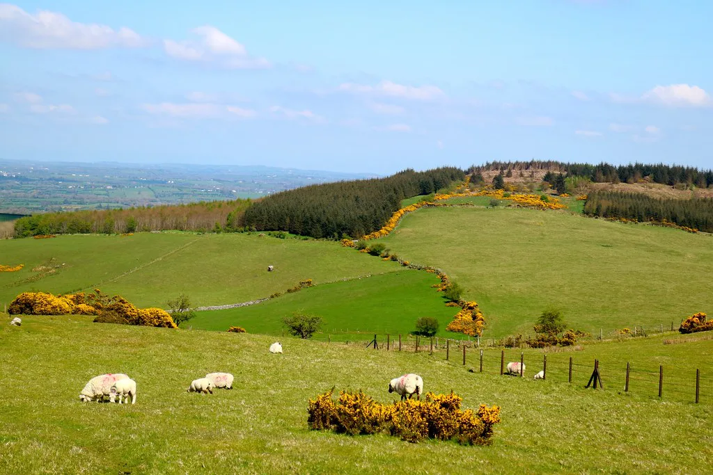 View across the hills at Loughcrew, County Meath.