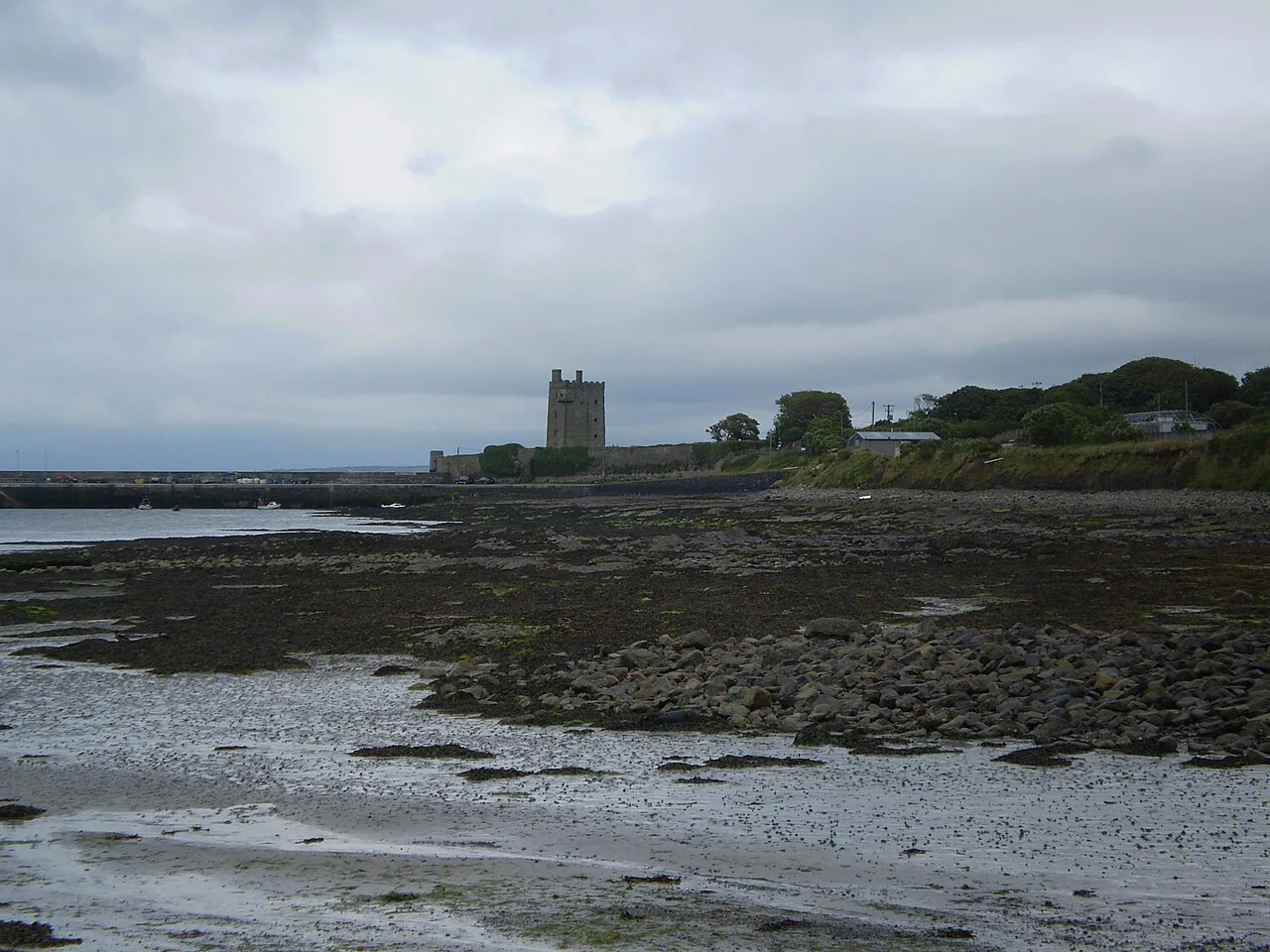 Carrigaholt Castle on the Shannon estuary, County Clare.