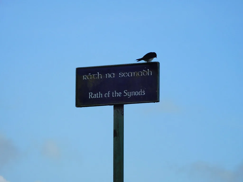 Sign for the Rath of the Synods, Hill of Tara.