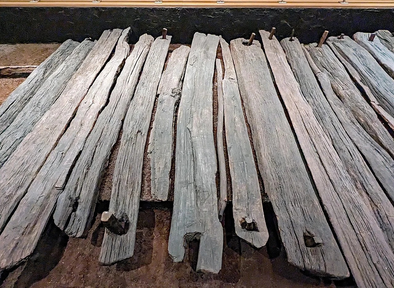Corlea Trackway timbers, County Longford.