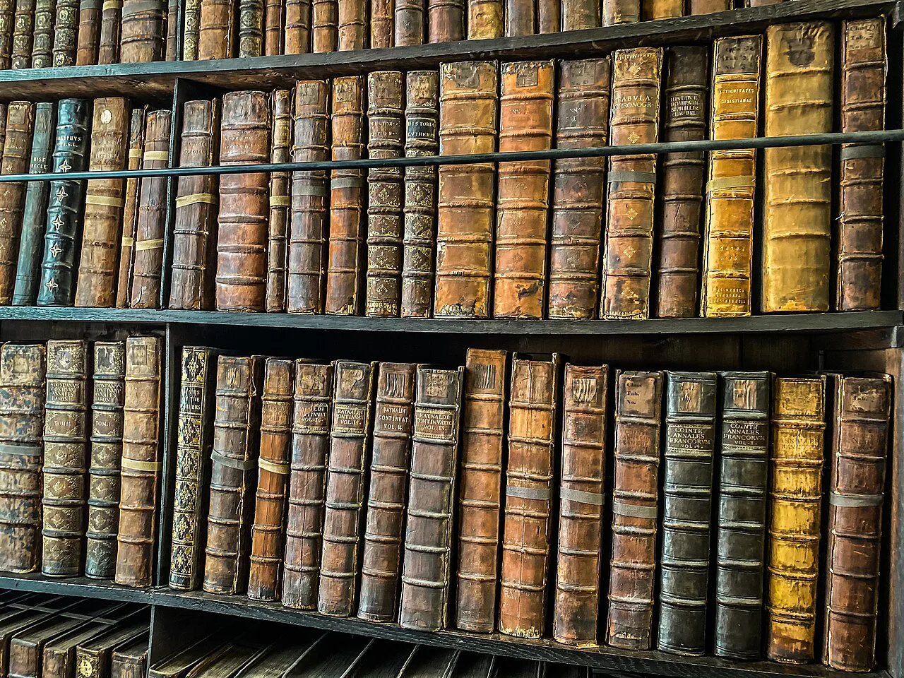 Books in Marsh's Library, Dublin.