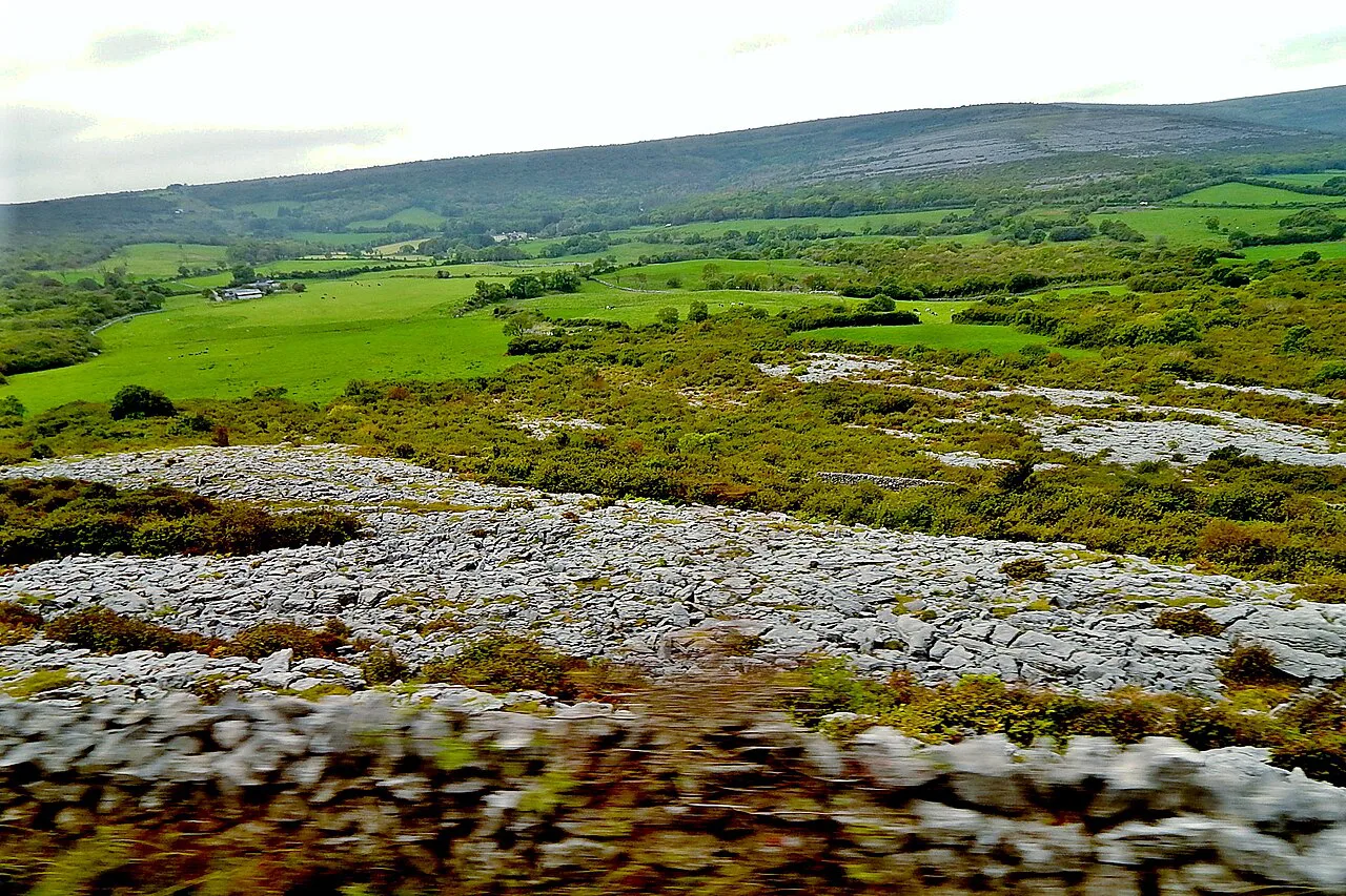 Limestone pavement of the Burren, County Clare.