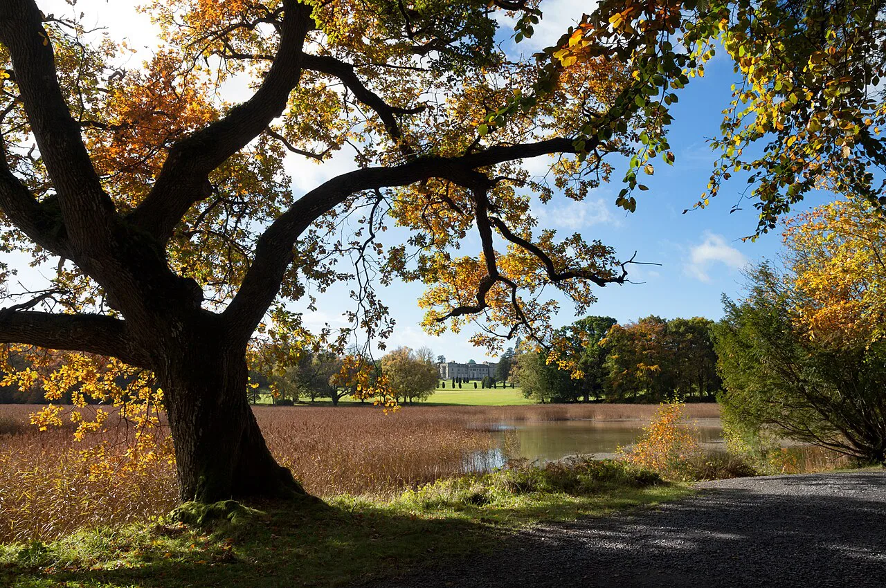 Autumn grounds at Emo Court, with the house in the distance.