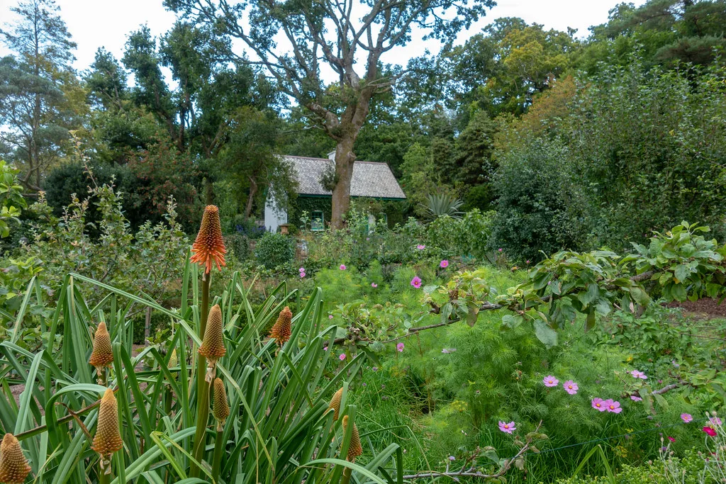 Planting in the gardens at Glenveagh Castle.