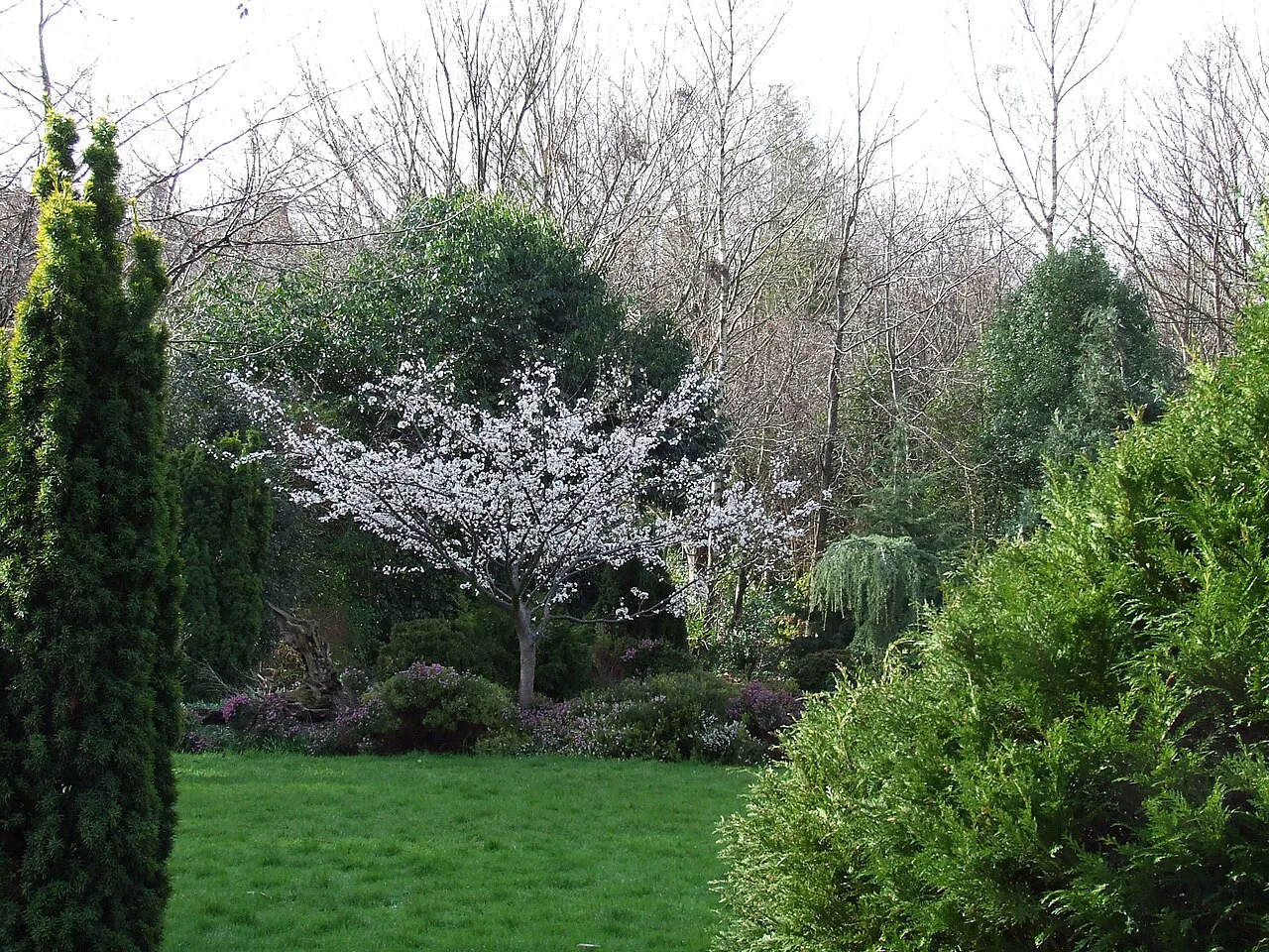 Merrion Square in spring, Dublin.