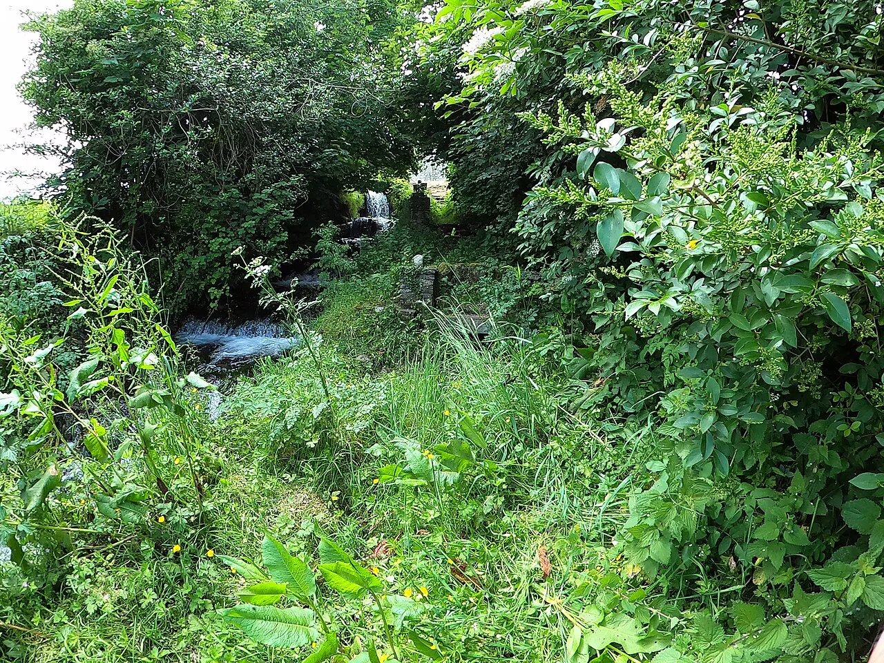 Lady's Well, Graiguenamanagh, County Kilkenny.