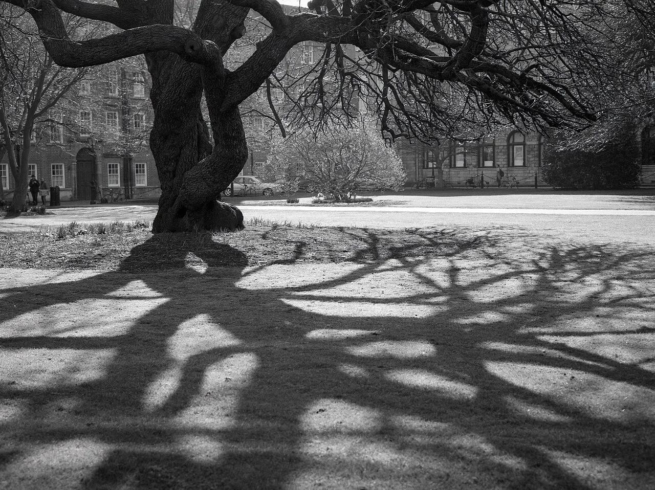 Library Square, Trinity College Dublin.