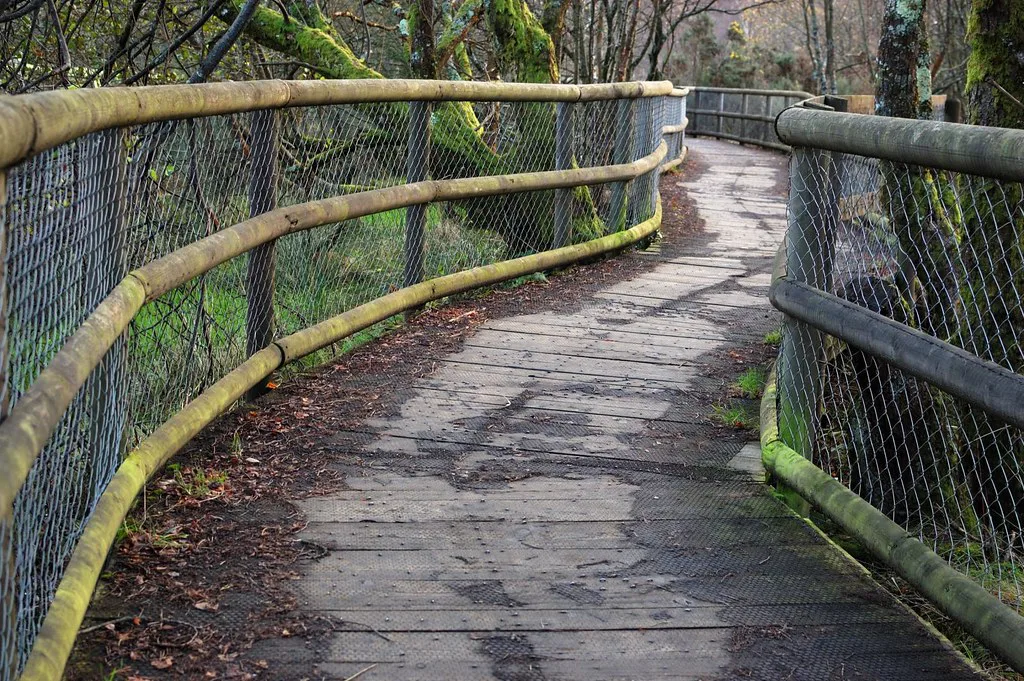 Boardwalk at Glendalough, County Wicklow.