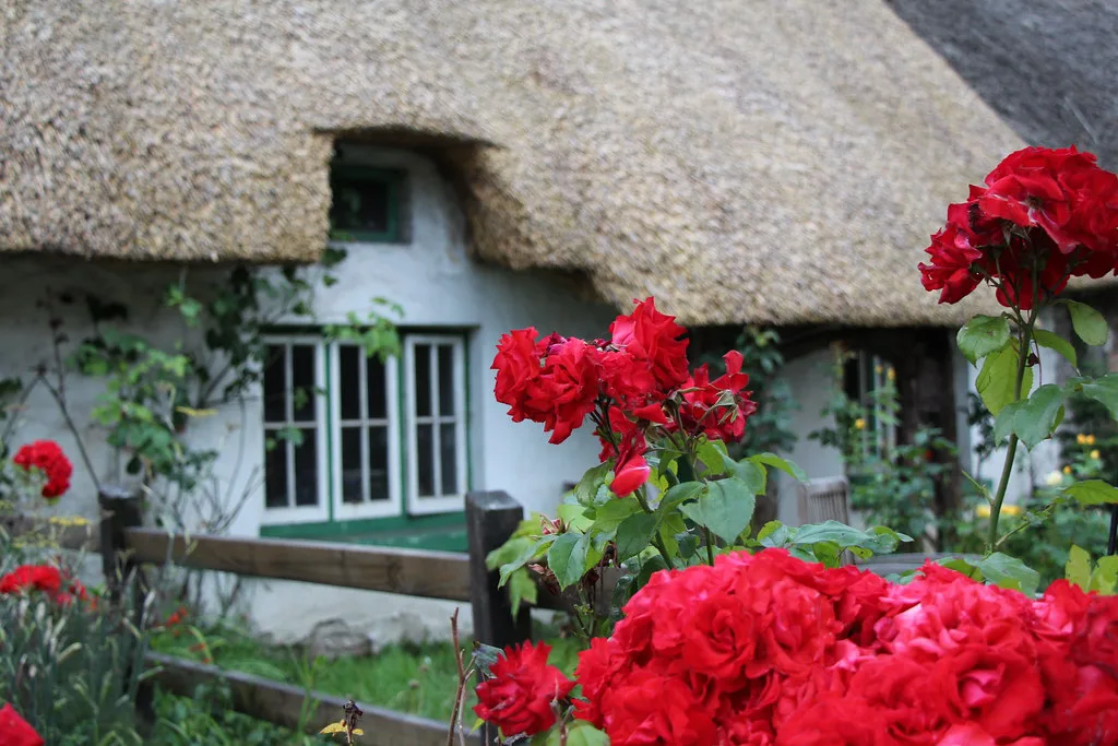 A thatched cottage in Adare, County Limerick.