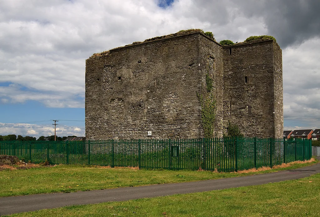 Woodstock Castle, Athy, County Kildare.
