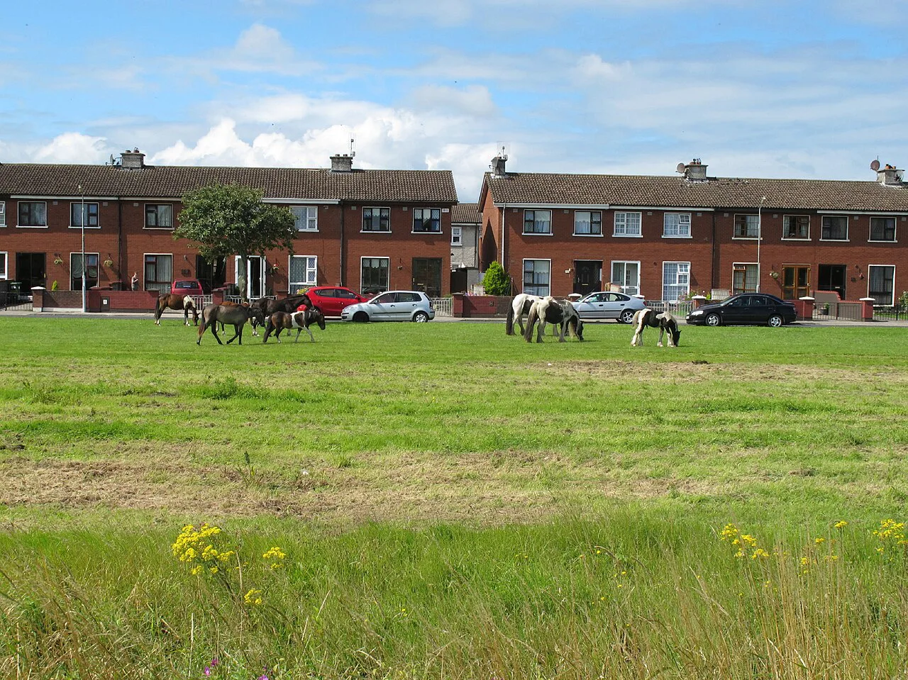 Open ground on King's Island, Limerick.