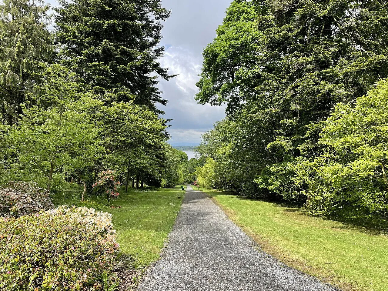 Woodland walk at Mount Congreve Gardens, County Waterford.