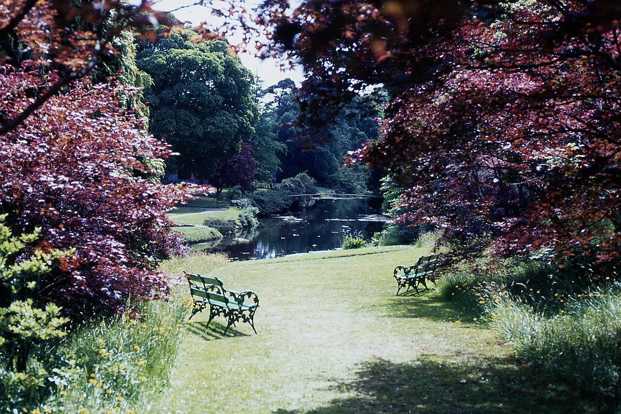 Garden planting and benches at Mount Usher Gardens, County Wicklow.