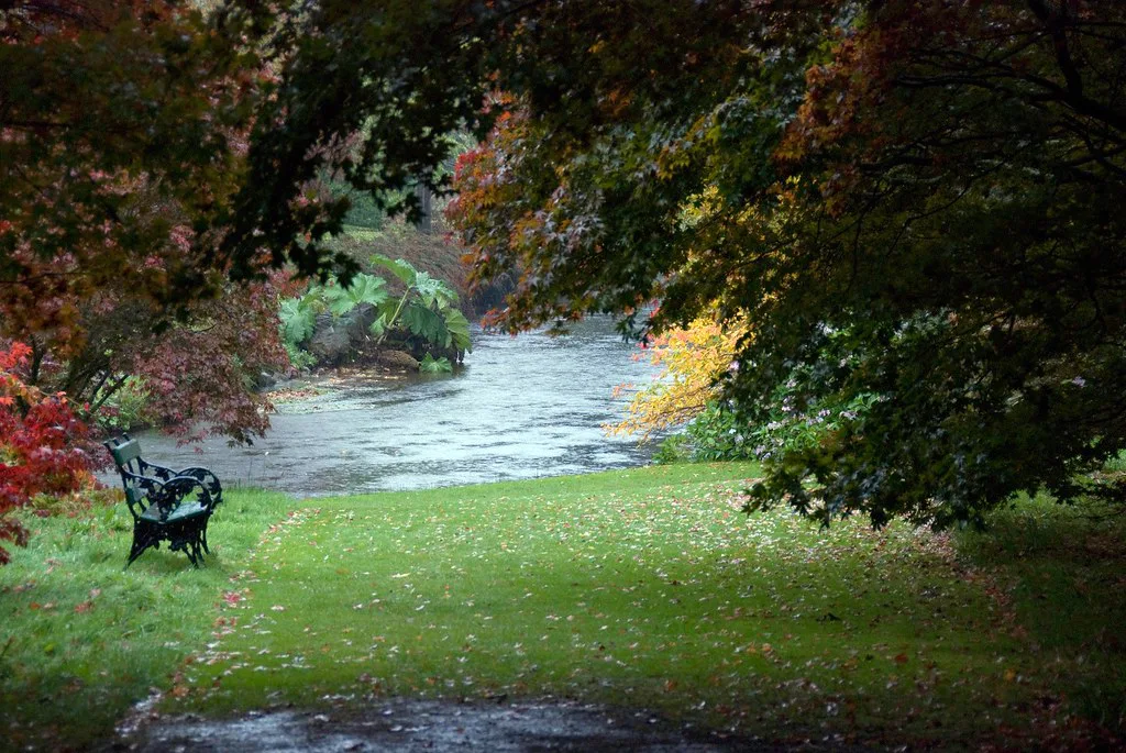Riverside gardens at Mount Usher, Ireland.