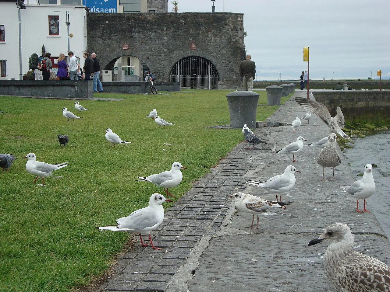The Spanish Arch, Galway.