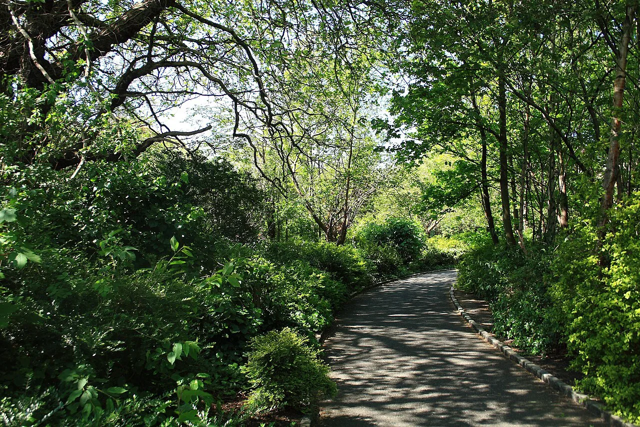 Path in Merrion Square park, Dublin.