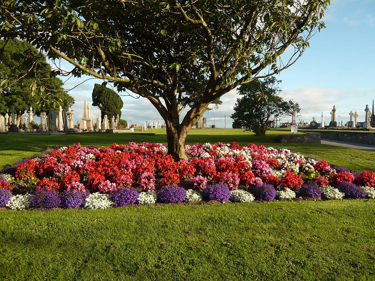 Flower planting in Bohermore Cemetery, Galway.