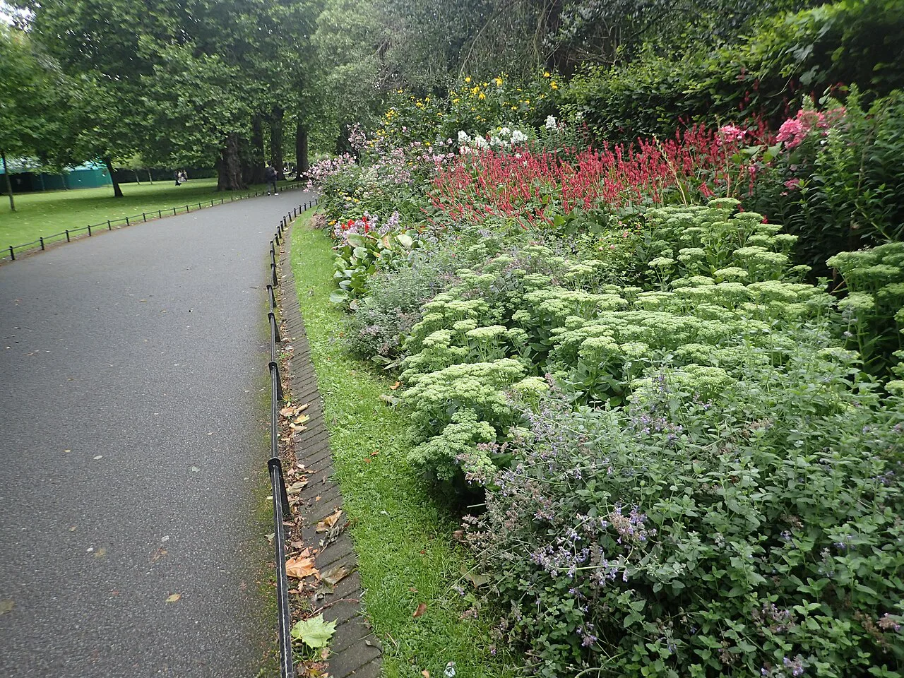 Flower borders and a path in St Stephen’s Green, Dublin.. Resized and converted to WebP.