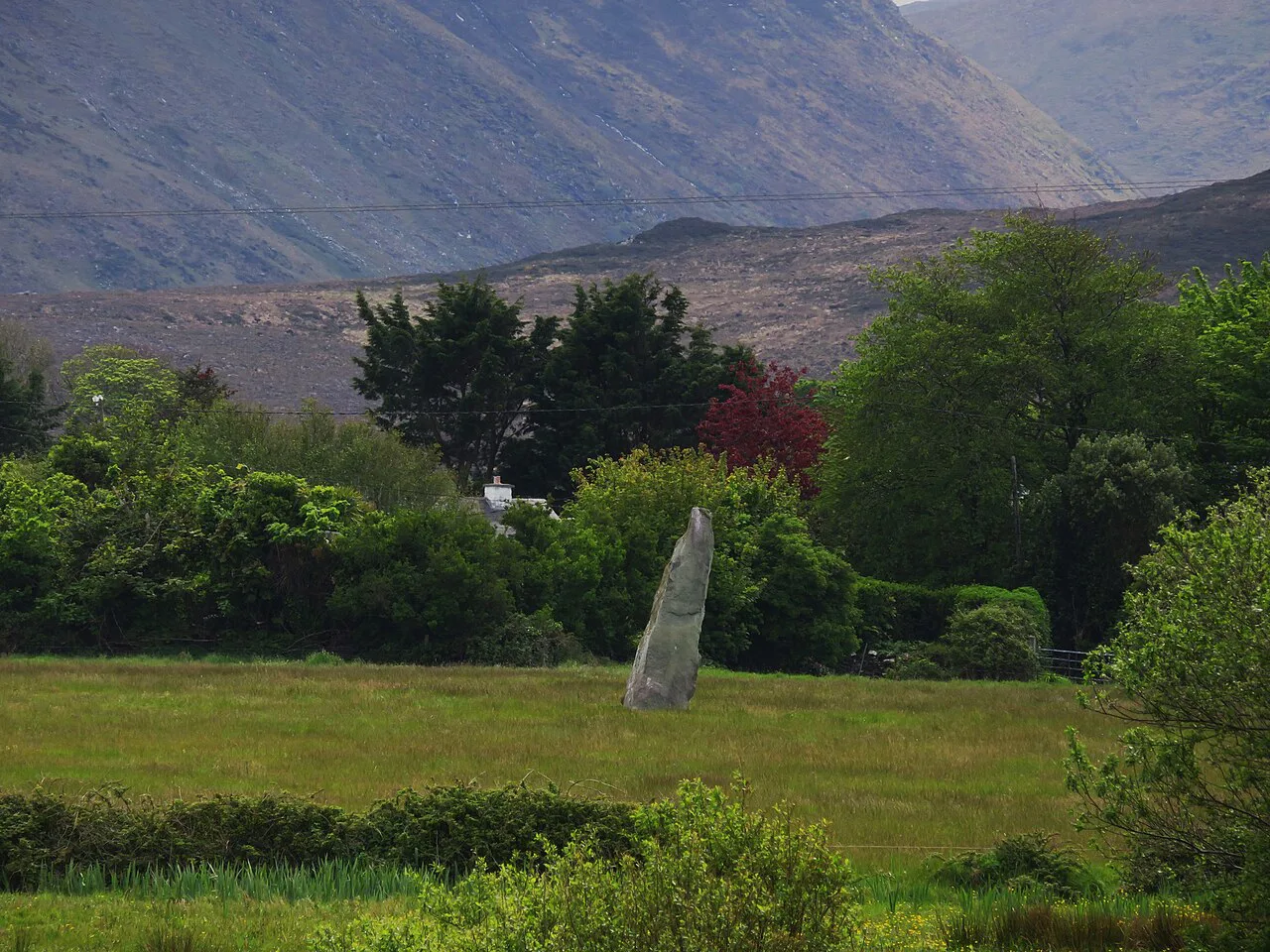 Standing stone at Aughacasla North near Castlegregory, County Kerry.