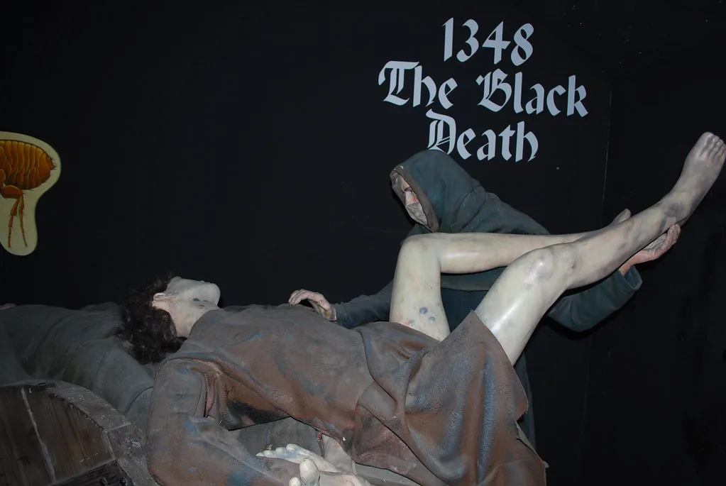 '1348 The Black Death' exhibit at Dublinia, Dublin.